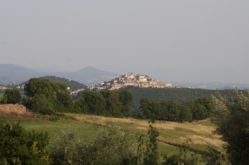 Agriturismo Collepina Amelia Eksteriør bilde