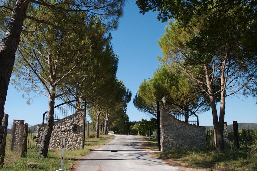 Agriturismo Collepina Amelia Eksteriør bilde