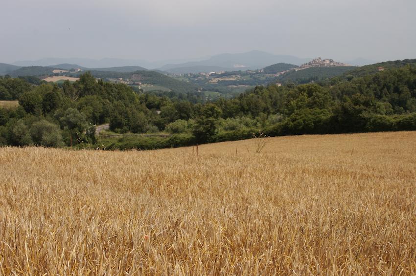 Agriturismo Collepina Amelia Eksteriør bilde