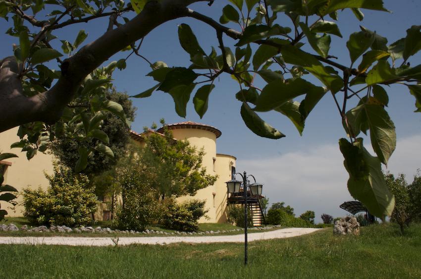 Agriturismo Collepina Amelia Eksteriør bilde