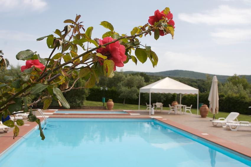 Agriturismo Collepina Amelia Eksteriør bilde