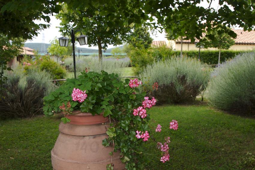 Agriturismo Collepina Amelia Eksteriør bilde