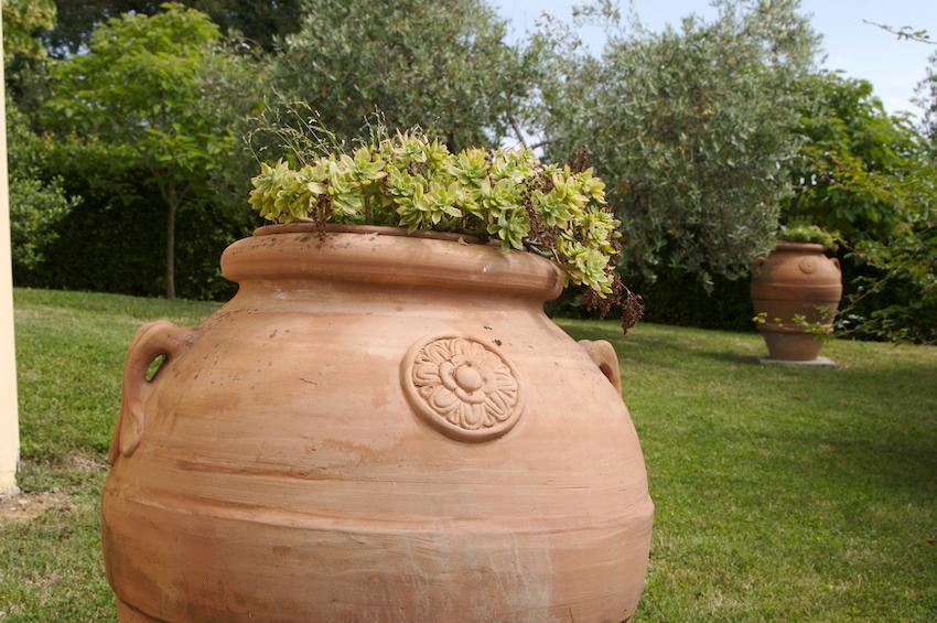 Agriturismo Collepina Amelia Eksteriør bilde
