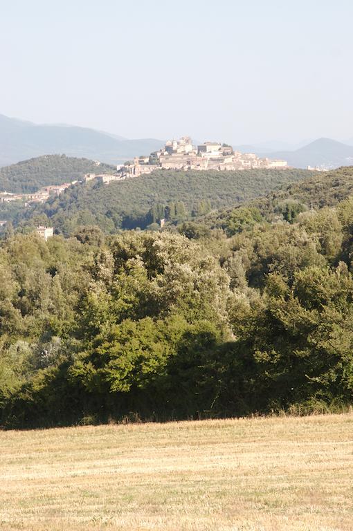 Agriturismo Collepina Amelia Eksteriør bilde